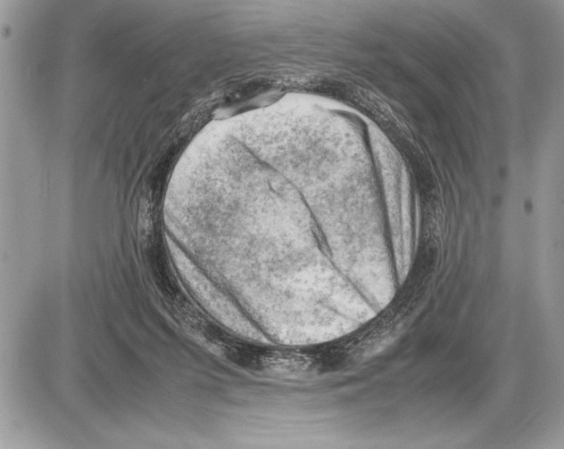 X0000085740215200704131653