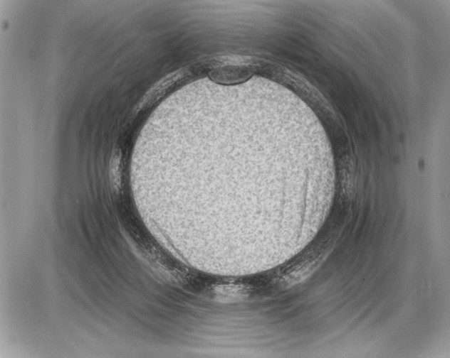 X0000085740216200704131653