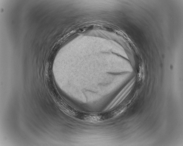 X0000085740217200704131653