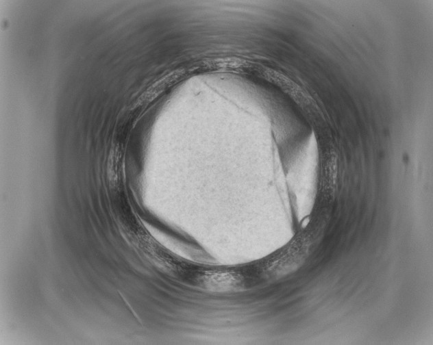 X0000085740218200704131653