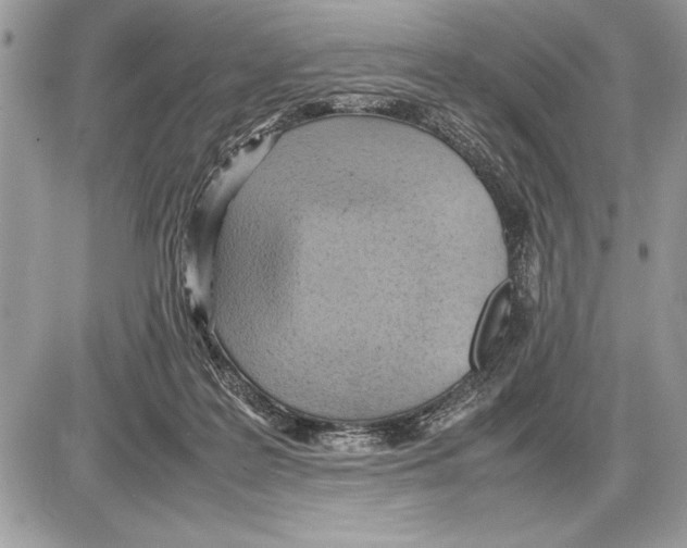 X0000085740219200704131653