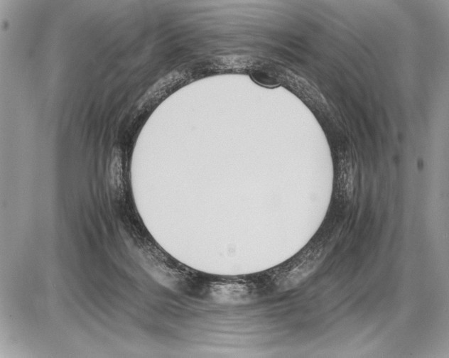 X0000085740220200704131653