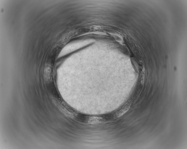 X0000085740222200704131653
