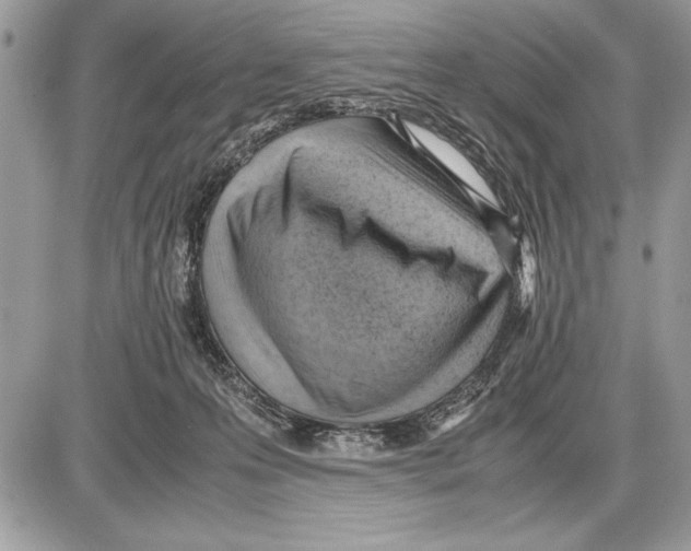 X0000085740223200704131653