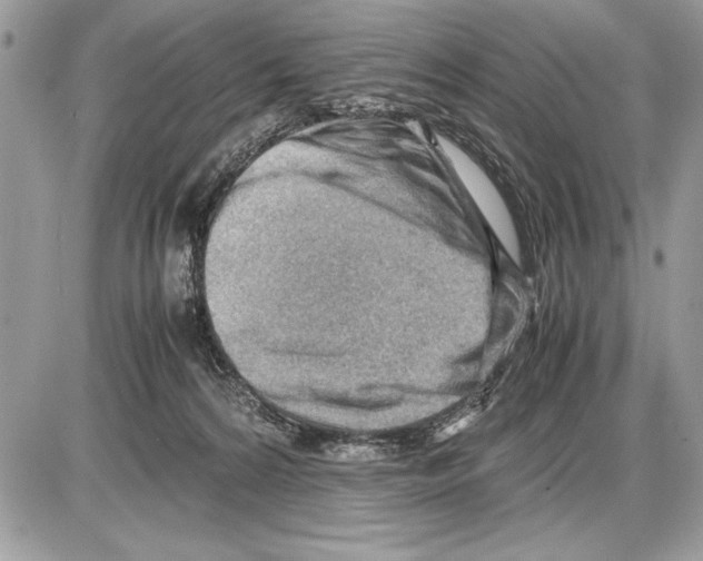 X0000085740224200704131653