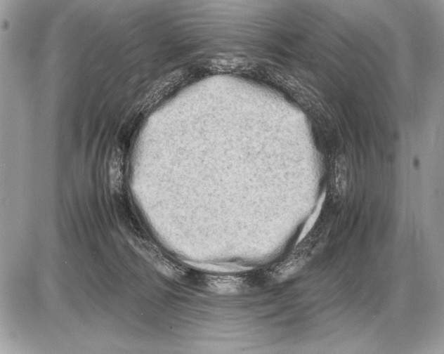X0000085740226200704131653