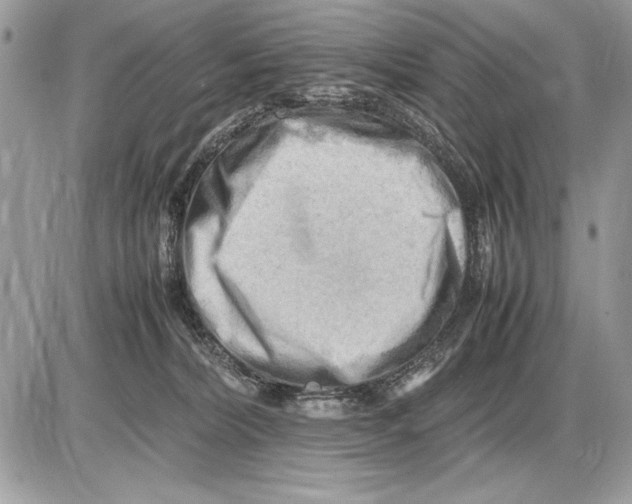 X0000085740228200704131653