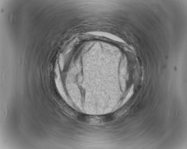 X0000085740229200704131653