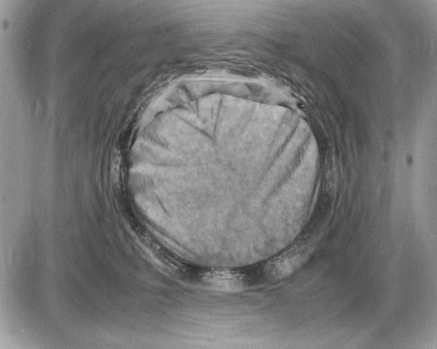 X0000085740231200704131653
