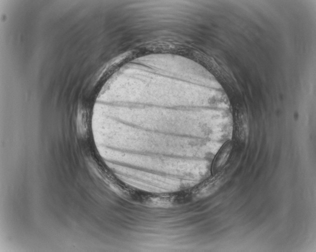 X0000085740232200704131653