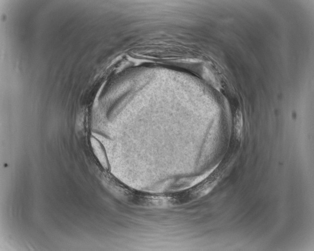 X0000085740233200704131653