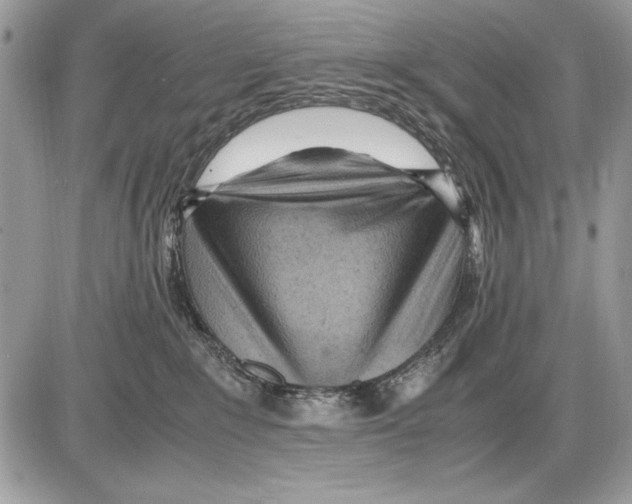 X0000085740235200704131653