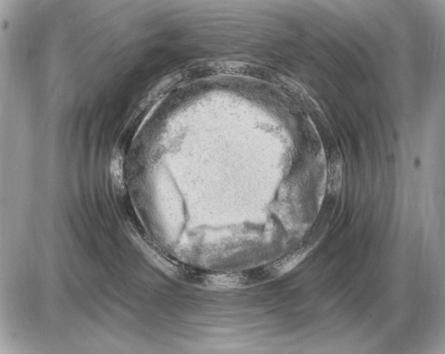 X0000085740238200704131653