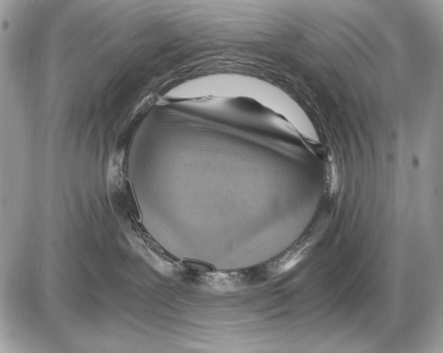 X0000085740239200704131653