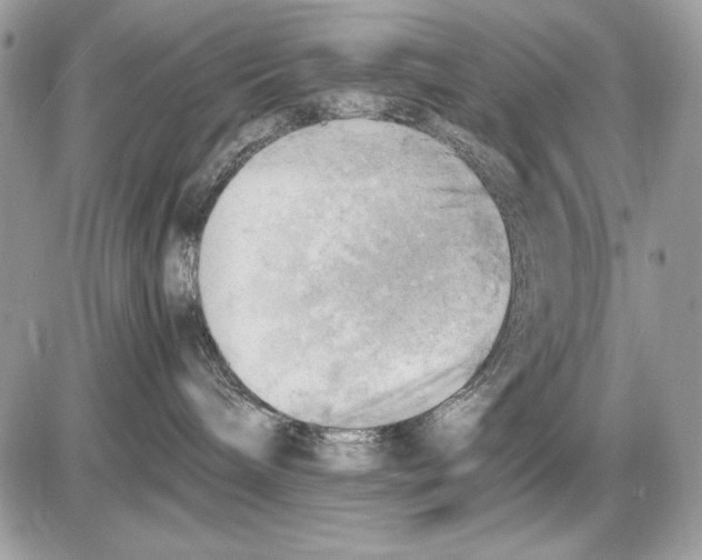 X0000085740240200704131653