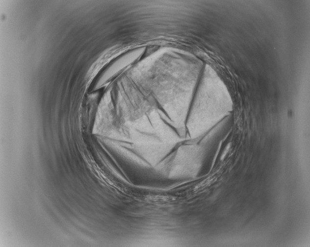 X0000085740242200704131652