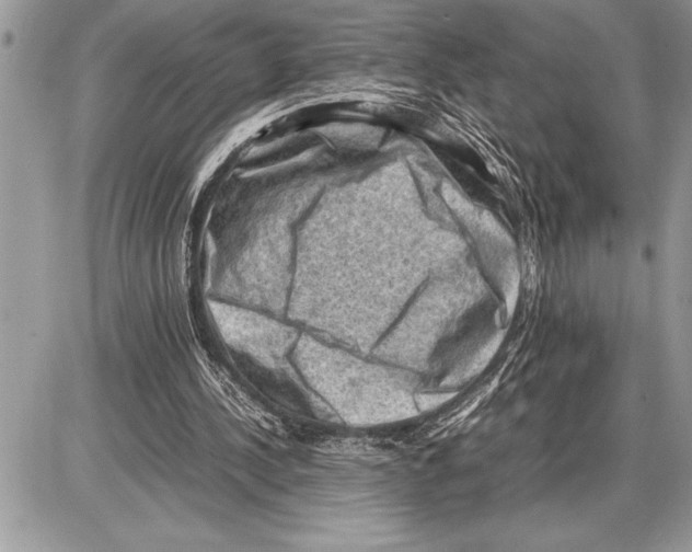 X0000085740244200704131652