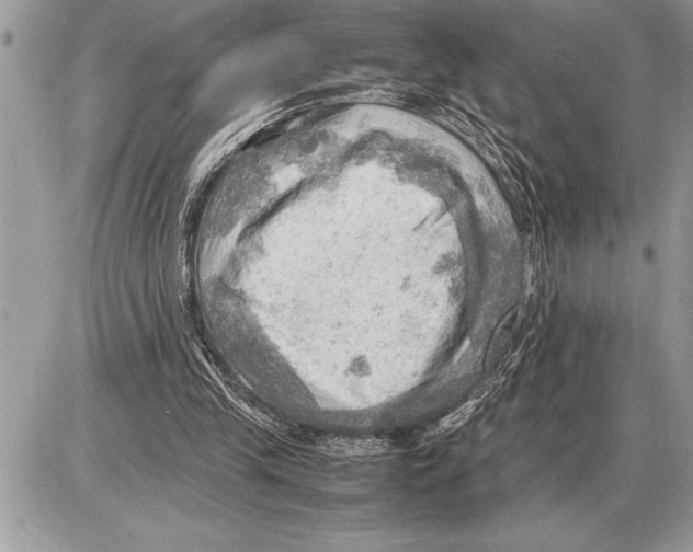 X0000085740245200704131652