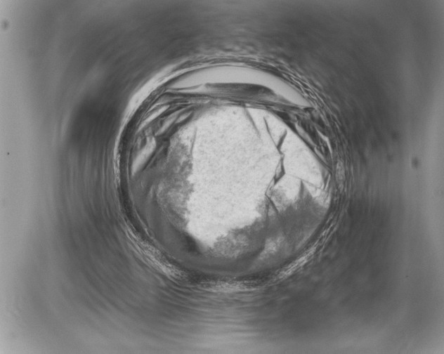 X0000085740246200704131652
