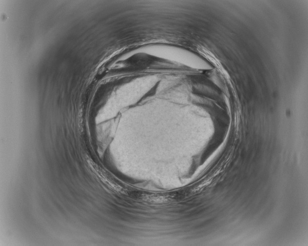 X0000085740249200704131652