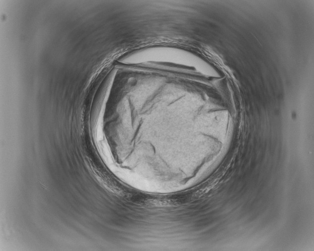 X0000085740250200704131652