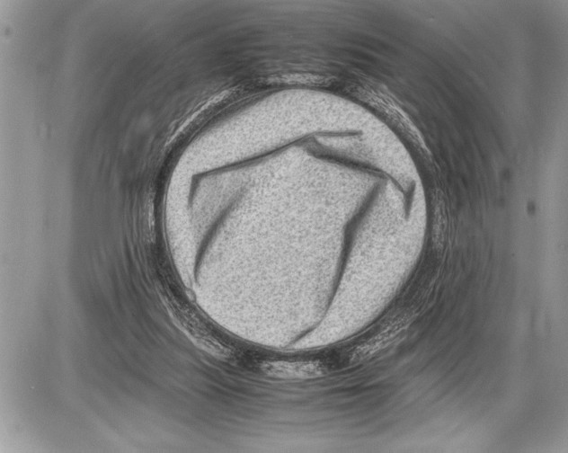 X0000085740251200704131652