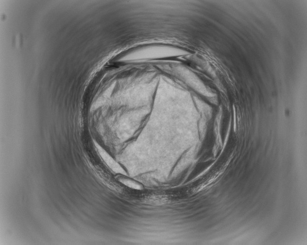 X0000085740252200704131652