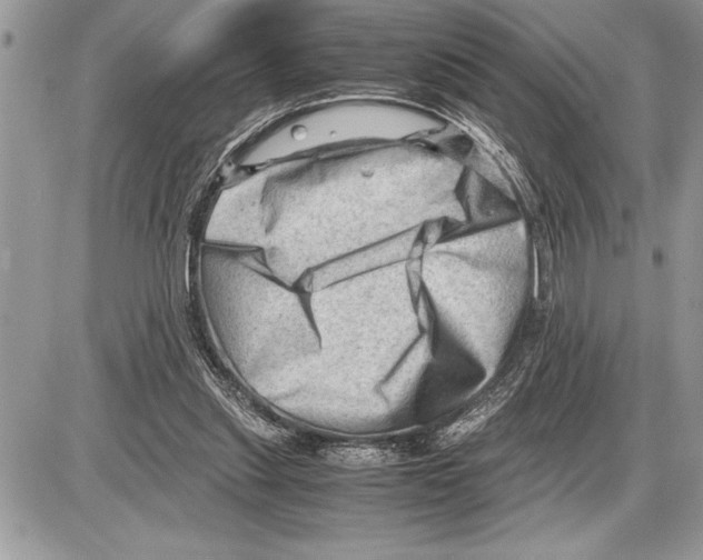 X0000085740253200704131652