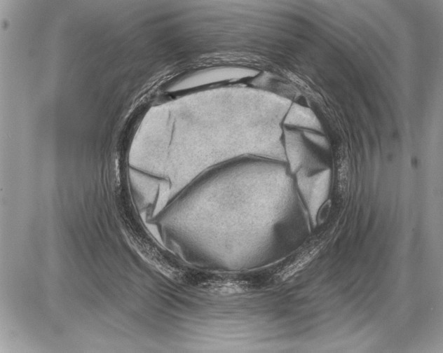 X0000085740254200704131652