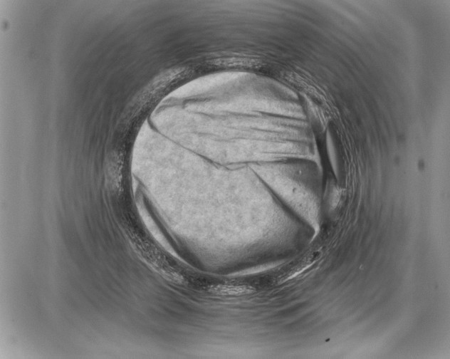 X0000085740255200704131652