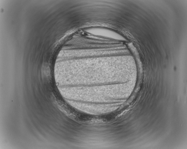 X0000085740256200704131652
