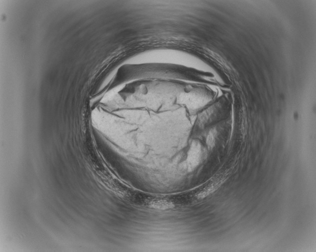 X0000085740258200704131652
