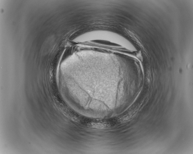 X0000085740259200704131652