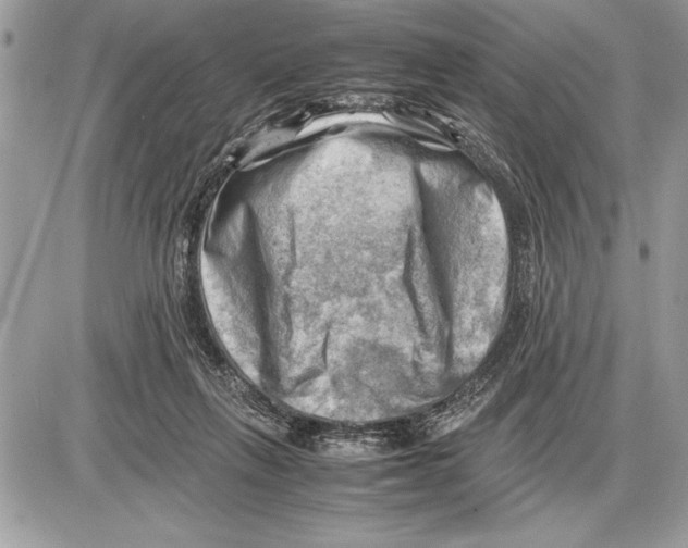 X0000085740263200704131652