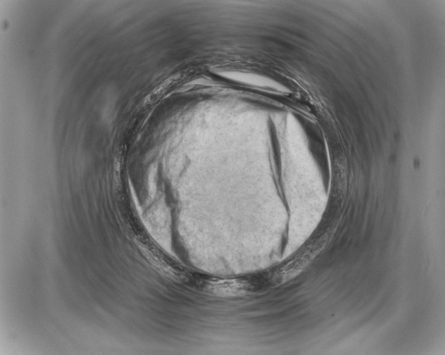 X0000085740269200704131652