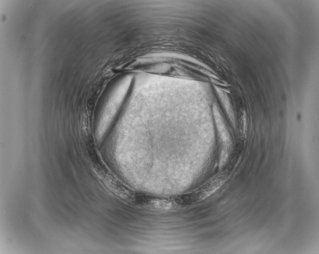 X0000085740272200704131652