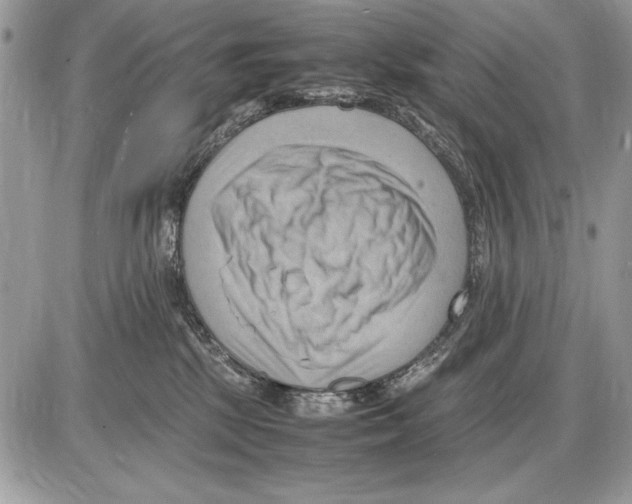 X0000085740281200704131653