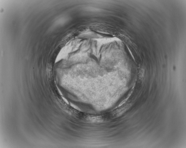 X0000085740283200704131653