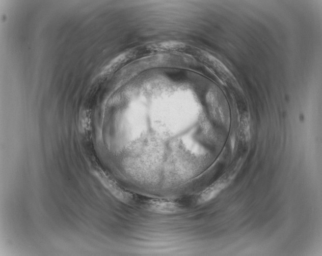 X0000085740284200704131653