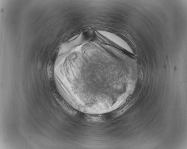 X0000085740285200704131653