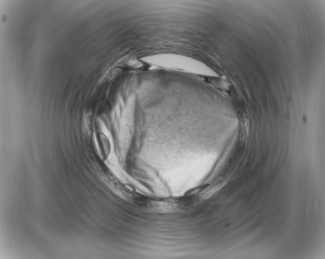 X0000085740286200704131653