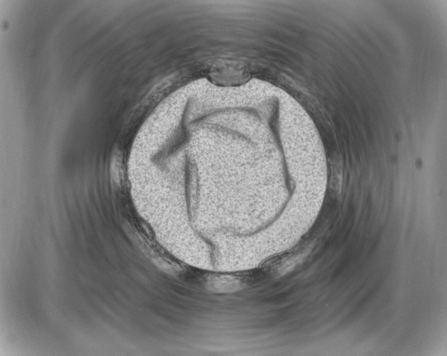 X0000085740287200704131653