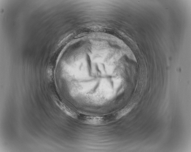 X0000085740288200704131653