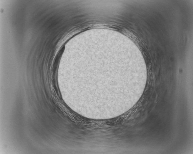 X0000085740289200704131652