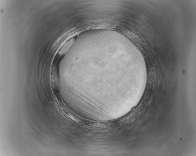X0000085740290200704131652