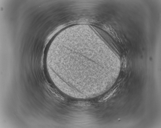X0000085740292200704131652