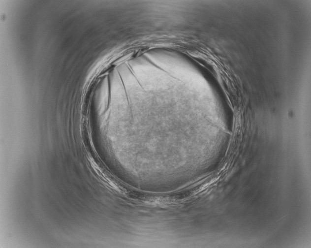 X0000085740293200704131652