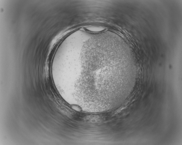 X0000085740294200704131652