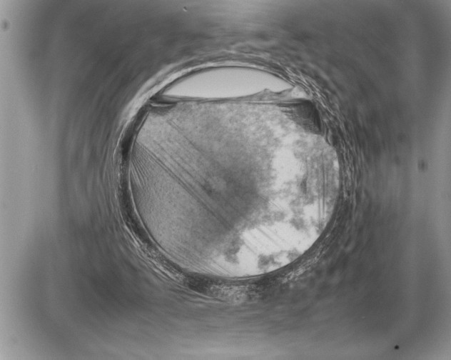 X0000085740295200704131652