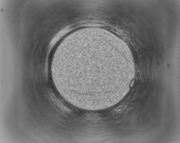 X0000085740296200704131652